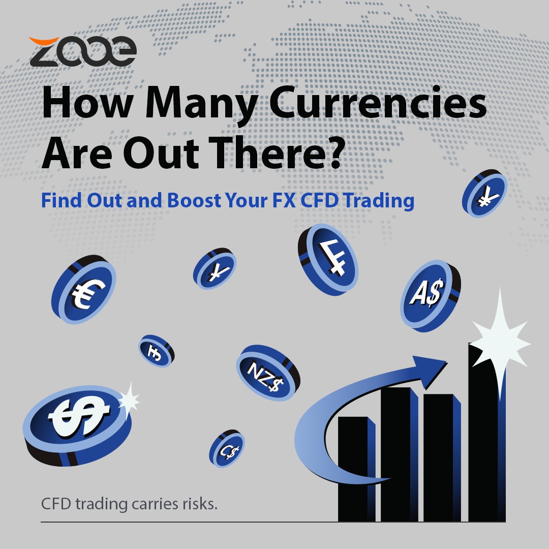 Exploring the World of Currencies with Zooe