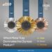 Unlock Olympic Spirit: Discover Precious Metals' CFD Trading with Zooe